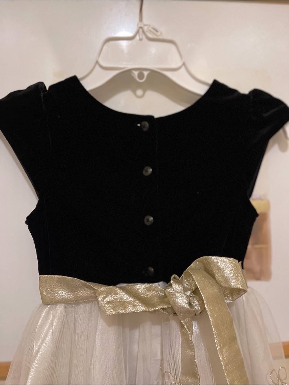 Jona Michelle Black Velvet and Cream Gold-Embroidered Party Dress - Picture 8 of 13